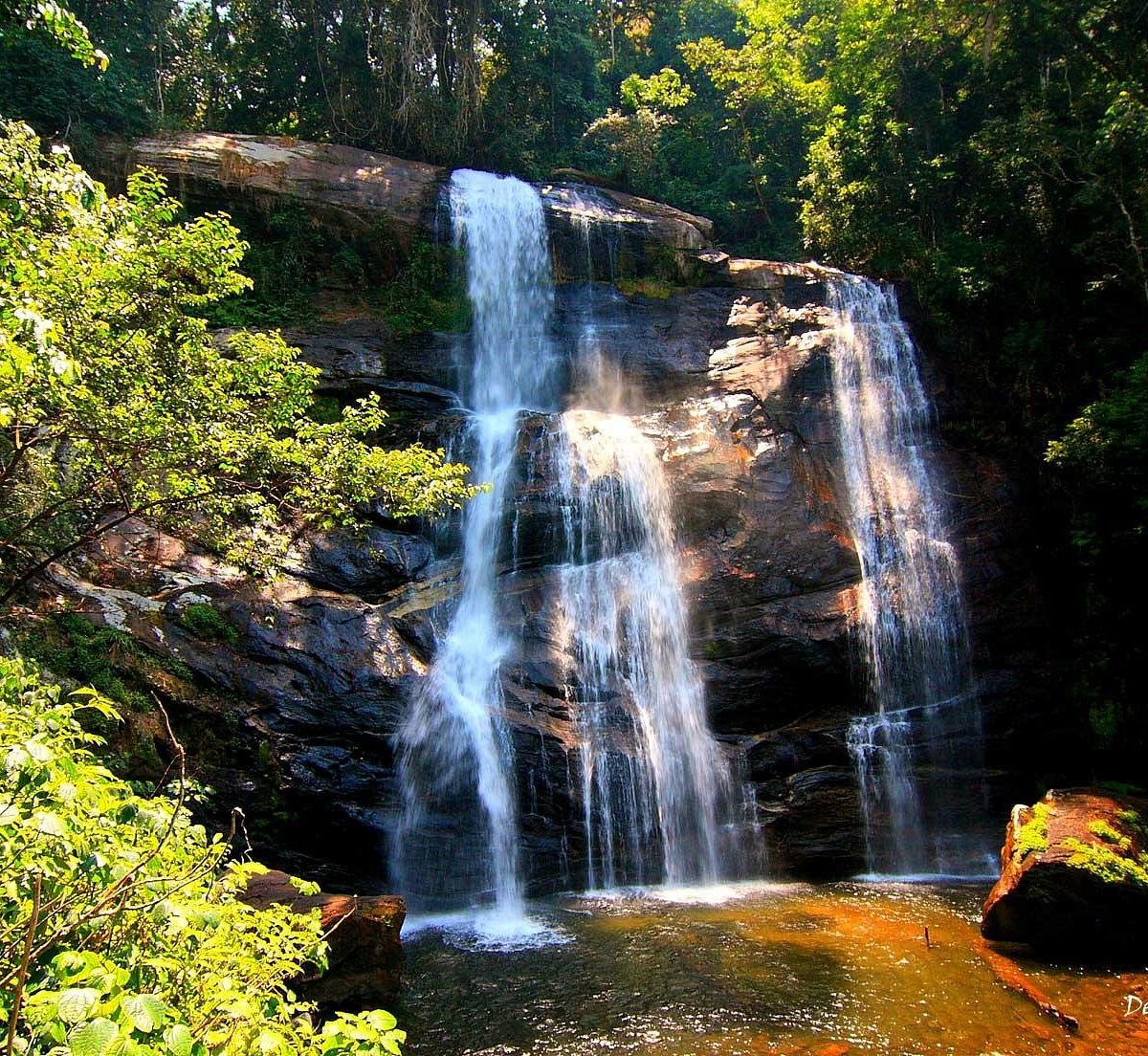 udzungwa-mountains-national